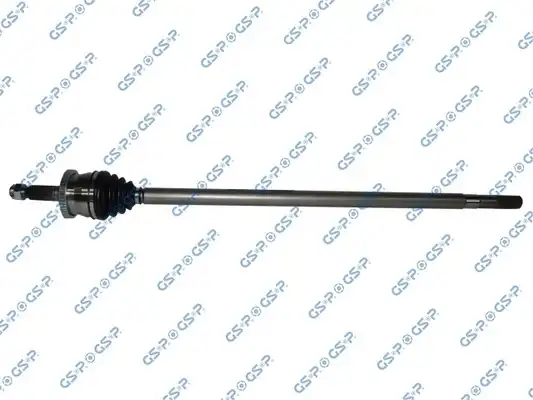 GSP 216006