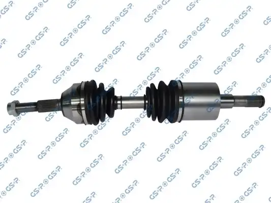 GSP 216010