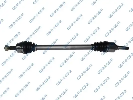 GSP 217052