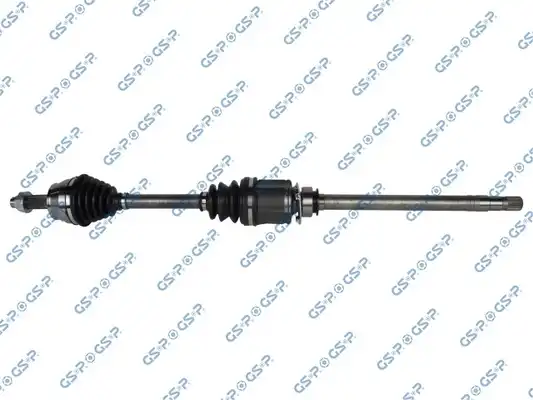 GSP 217157