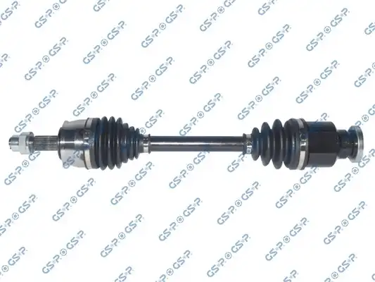 GSP 217158