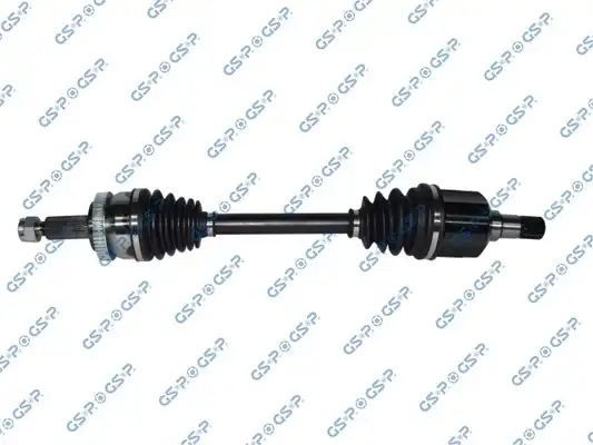 GSP 224300