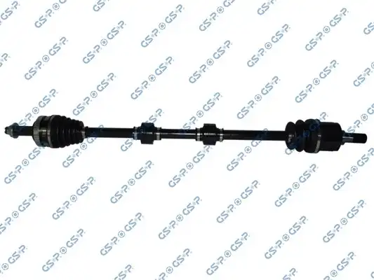 GSP 224389