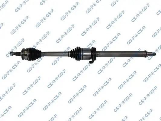 GSP 235099