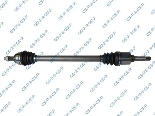 GSP 245201