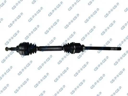 GSP 250391