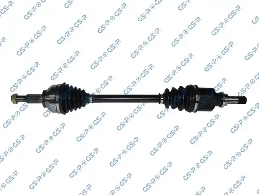 GSP 250460