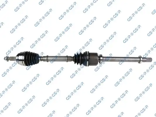 GSP 250596