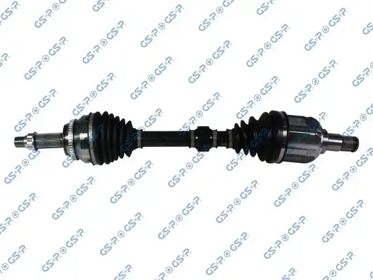 GSP 259324