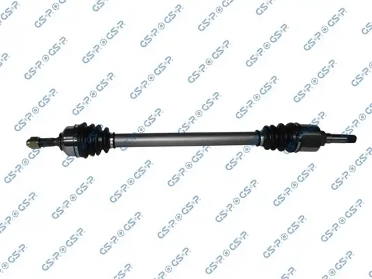 GSP 299271