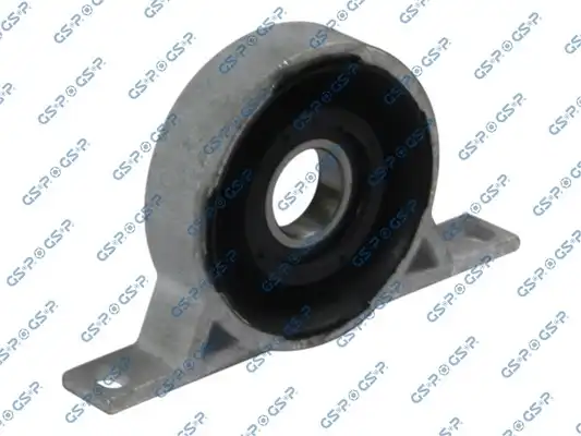 GSP 513771