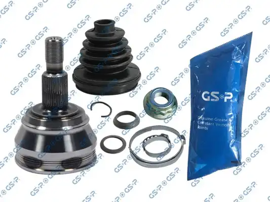 GSP 803070