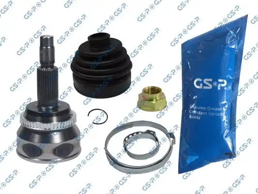 GSP 859304