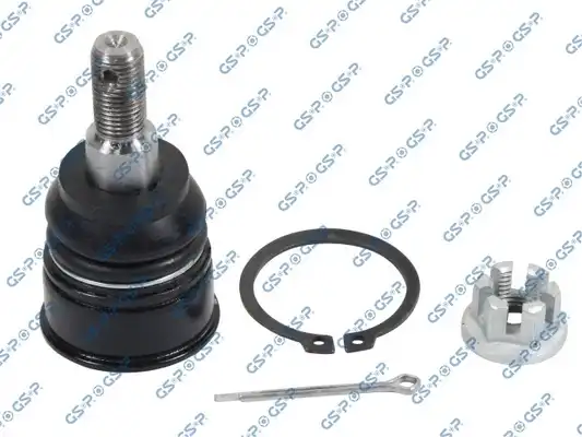 GSP S080079