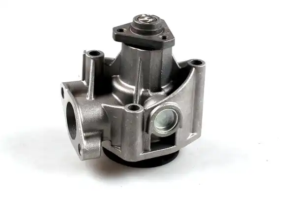 HEPU P099