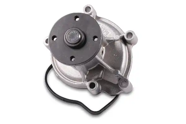 HEPU P1539