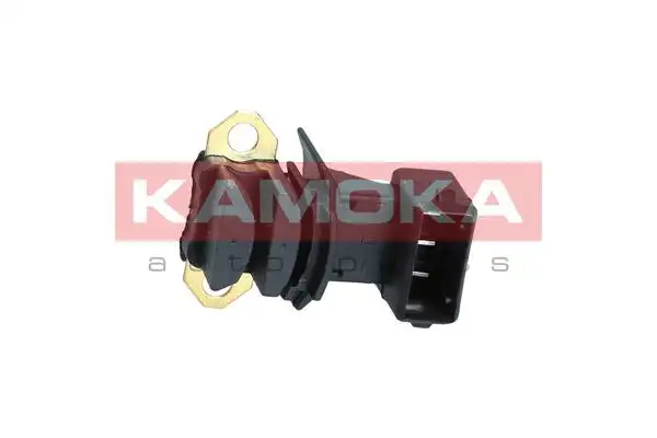 KAMOKA 113001