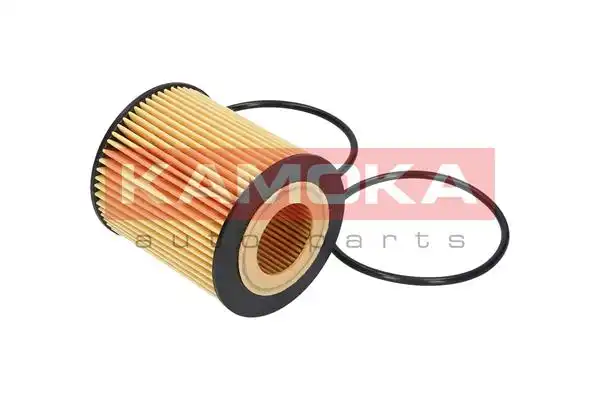 KAMOKA F107501