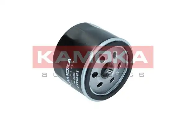 KAMOKA F118601