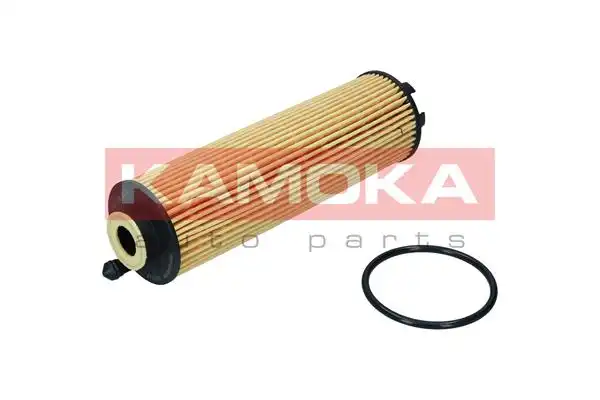 KAMOKA F123701