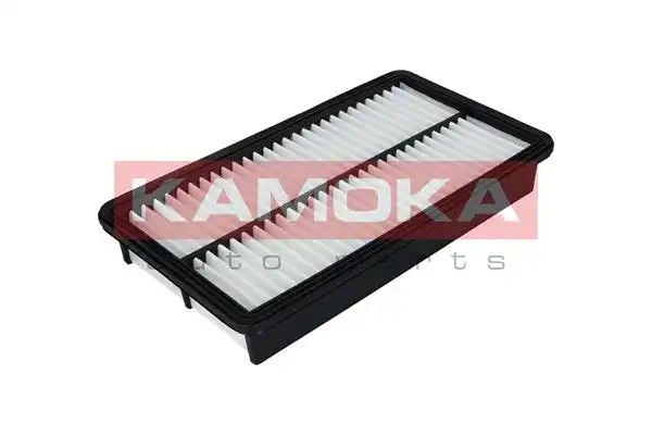 KAMOKA F207201