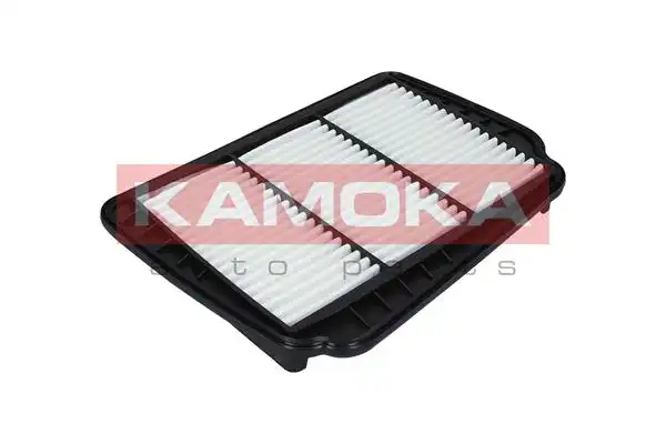 KAMOKA F223001