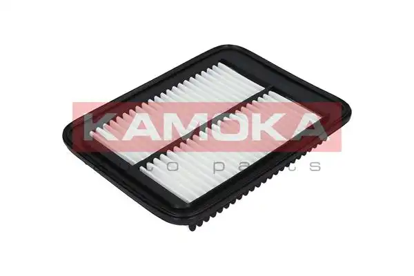 KAMOKA F226101