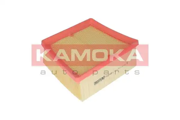 KAMOKA F231001
