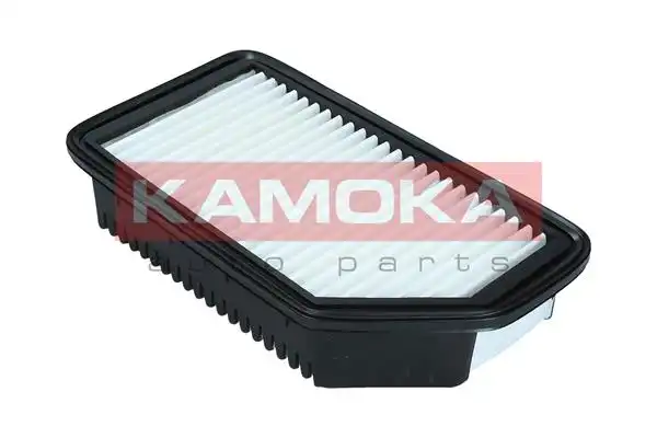 KAMOKA F247001