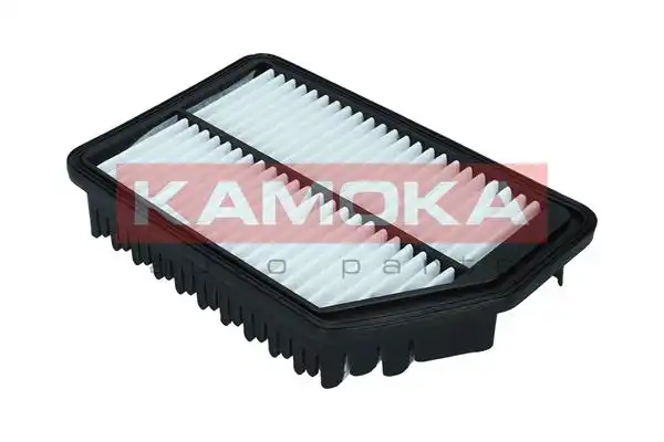 KAMOKA F247401