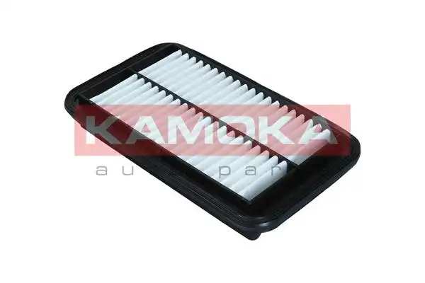 KAMOKA F250101