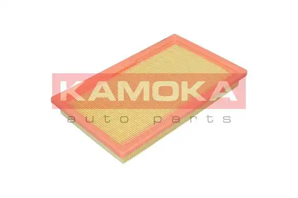 KAMOKA F253601