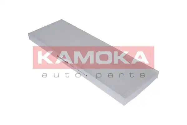 KAMOKA F401301