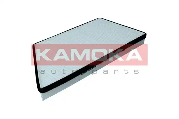 KAMOKA F402101
