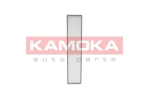 KAMOKA F402401
