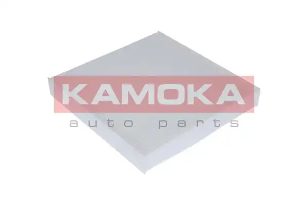 KAMOKA F403001