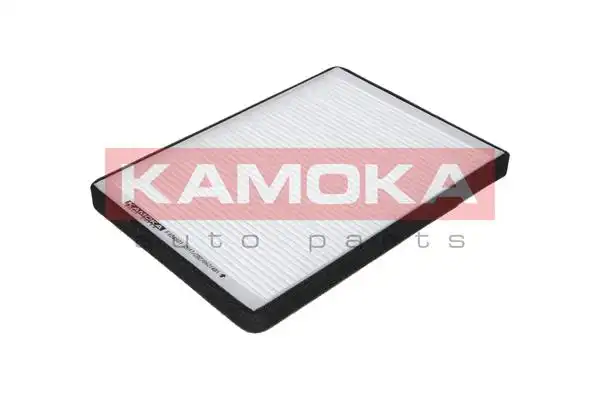 KAMOKA F404601
