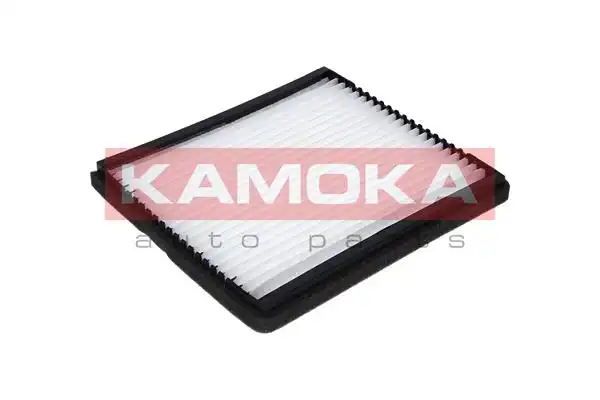 KAMOKA F405301