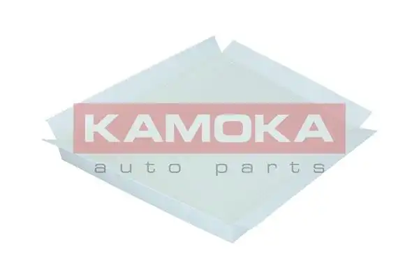 KAMOKA F409701