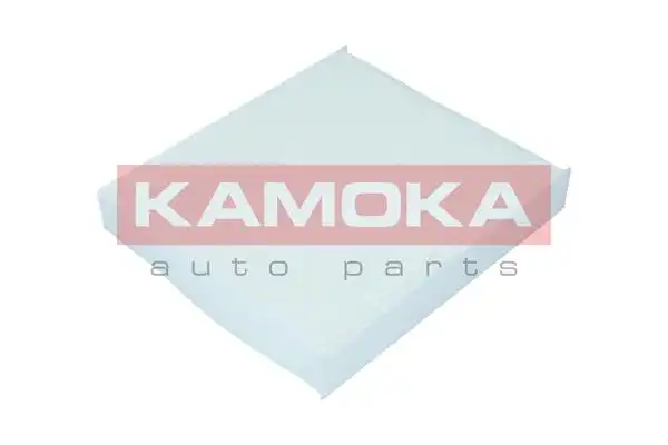 KAMOKA F409901