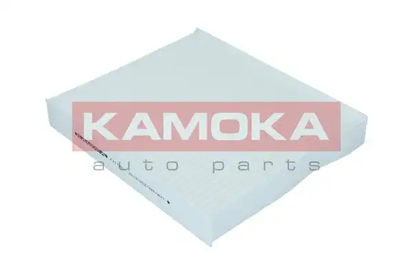 KAMOKA F417301