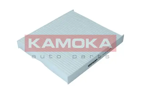 KAMOKA F418501