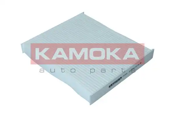 KAMOKA F420001