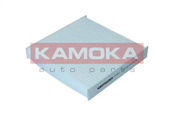 KAMOKA F420601