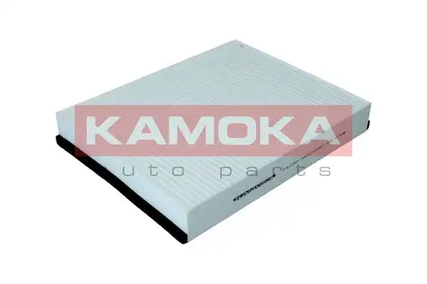 KAMOKA F421601