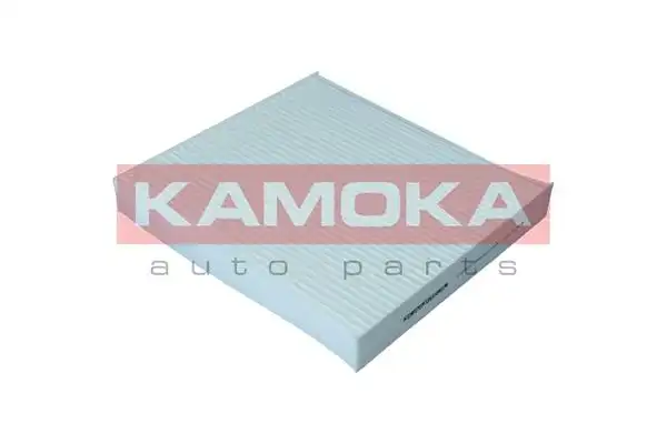 KAMOKA F423001