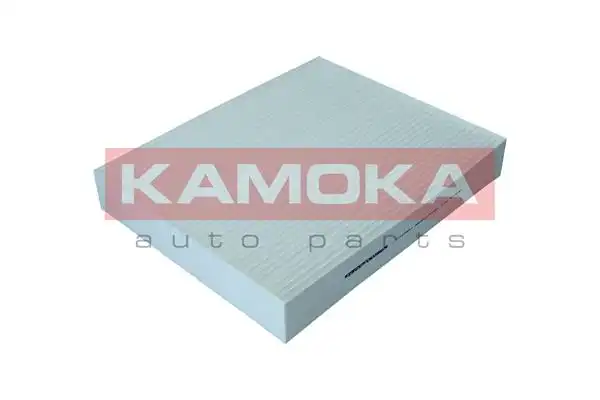 KAMOKA F423601