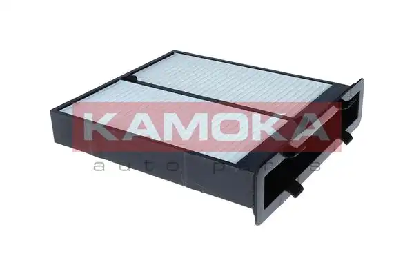 KAMOKA F425301