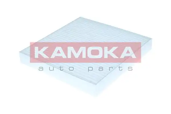 KAMOKA F425601
