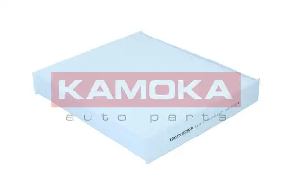 KAMOKA F426101